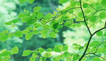 Geothermal Power Generation