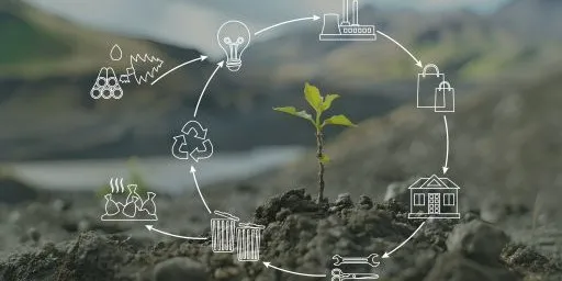 Environmental Impact Reduction Throughout the Supply Chain